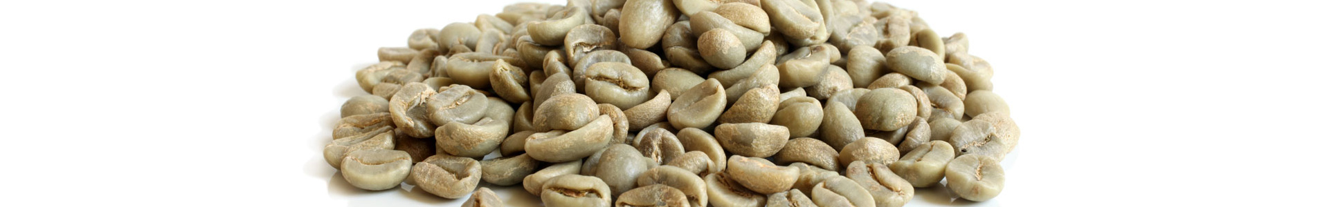 importazione di caffè verde brasiliano | importatori caffé crudo | vendita caffè crudo prezzi